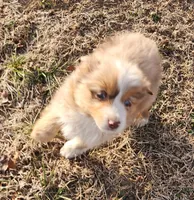 processed/326e7775-cc07-451d-8374-7797cb622728/listing/736c6be5-dabf-48d2-a27b-670259d12c71/9f2e38d9-2c81-4921-9777-d239948da04f