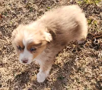 processed/326e7775-cc07-451d-8374-7797cb622728/listing/736c6be5-dabf-48d2-a27b-670259d12c71/bd180869-2456-4a74-af26-84a5a0391a18