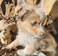 processed/326e7775-cc07-451d-8374-7797cb622728/listing/736c6be5-dabf-48d2-a27b-670259d12c71/eac71e89-785e-42fd-b7b6-9f59ab13b9b6