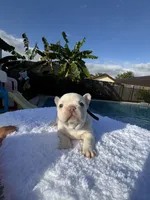 processed/32755a4b-872a-41f8-896d-257c6e2090c7/listing/8e45e97b-c9aa-4307-8eb3-97b19539c335/2b63f9fa-2d5d-40fe-bcc7-d6bee00d4488