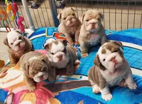 processed/328a5e56-3a3d-47f1-b030-6f4a40ddbda0/facility/2ec1d9c0-5bdc-46b8-9a97-60a9f1be66b1