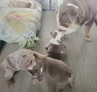 processed/328a5e56-3a3d-47f1-b030-6f4a40ddbda0/facility/5d0d317a-27ba-4362-8e83-83b10e66a135