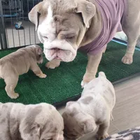 processed/328a5e56-3a3d-47f1-b030-6f4a40ddbda0/facility/611f720e-7bd0-4b84-aa5d-7f267f849d88