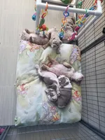 processed/328a5e56-3a3d-47f1-b030-6f4a40ddbda0/facility/93f9c669-67ba-4f33-8511-c2abf452e890