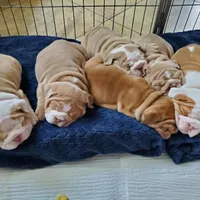 processed/328a5e56-3a3d-47f1-b030-6f4a40ddbda0/facility/c8c8a111-ddad-49b2-984c-1845aef52031