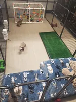 processed/328a5e56-3a3d-47f1-b030-6f4a40ddbda0/facility/ec5c38b3-5cb2-4884-be45-8097f7a0c689