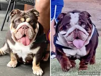 processed/328a5e56-3a3d-47f1-b030-6f4a40ddbda0/listing/71e3fc35-4c95-4c37-bf52-7bfa8a5fb5f6/7db14b24-04b7-4d3b-ad29-22848335fd7c