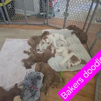 processed/328fa357-2a21-421c-a869-3ee4fdd04dce/facility/41244d8d-88ad-4f10-9926-36c035a3249a