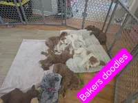 processed/328fa357-2a21-421c-a869-3ee4fdd04dce/facility/41244d8d-88ad-4f10-9926-36c035a3249a