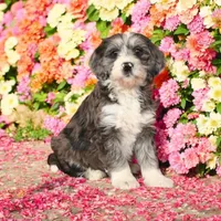 processed/328fa357-2a21-421c-a869-3ee4fdd04dce/facility/aba48edc-07d2-4e5c-bd27-d89a6354a6f4