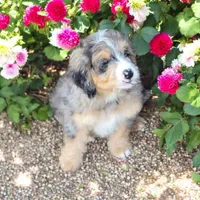 processed/328fa357-2a21-421c-a869-3ee4fdd04dce/facility/b0ce2617-4063-47b7-b2cd-67ea36bfaf8d