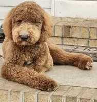 processed/328fa357-2a21-421c-a869-3ee4fdd04dce/facility/f4025b24-81cb-4937-a6d2-54749c4cee55