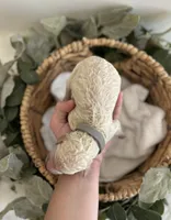 Goldendoodle males, a male Goldendoodle for sale in Fairmount, GA – Photo 8 of 8