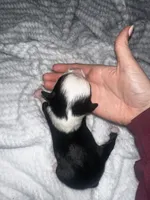 processed/329686cc-7eb4-409a-a47f-f371d3219133/listing/28c5a831-9d40-4e41-a4b0-755d4fe678a3/d59e1da7-a520-4f62-9dac-c5dedc38236d