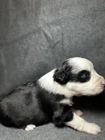 processed/329686cc-7eb4-409a-a47f-f371d3219133/listing/28c5a831-9d40-4e41-a4b0-755d4fe678a3/e1491dc5-76eb-4b8d-9ad6-a11c7667ee9c