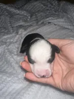 processed/329686cc-7eb4-409a-a47f-f371d3219133/listing/28c5a831-9d40-4e41-a4b0-755d4fe678a3/ebadaf6c-6e8f-4dac-82ac-d9ae5f3282a0