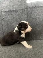 processed/329686cc-7eb4-409a-a47f-f371d3219133/listing/7cb07ea5-f4b1-4f4d-a1c4-00abd4d6b78b/6790fe8d-c9b0-4b6d-a1a5-c623d7dbe516