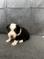 processed/329686cc-7eb4-409a-a47f-f371d3219133/listing/7cb07ea5-f4b1-4f4d-a1c4-00abd4d6b78b/8f840ea0-92cf-4c56-ac6e-80c63b187044