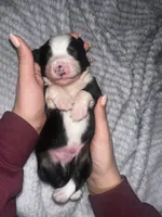 processed/329686cc-7eb4-409a-a47f-f371d3219133/listing/7cb07ea5-f4b1-4f4d-a1c4-00abd4d6b78b/95514eb6-f83e-404e-ae52-9a419958b122