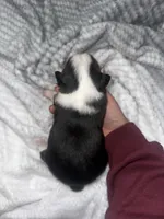 processed/329686cc-7eb4-409a-a47f-f371d3219133/listing/7cb07ea5-f4b1-4f4d-a1c4-00abd4d6b78b/b1336f1e-8106-4d18-929b-2b935da26a23