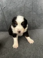 processed/329686cc-7eb4-409a-a47f-f371d3219133/listing/7cb07ea5-f4b1-4f4d-a1c4-00abd4d6b78b/b7519c78-bffe-4623-84c9-7d0856ba7029