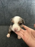 processed/329686cc-7eb4-409a-a47f-f371d3219133/listing/98efb5dc-7ada-4460-9c26-ee9c9a339356/13845e40-03f3-496d-afaa-7c2082b98609