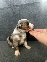 processed/329686cc-7eb4-409a-a47f-f371d3219133/listing/98efb5dc-7ada-4460-9c26-ee9c9a339356/1d076ba3-d16b-4fdb-92e6-3466b96841bd