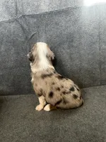 processed/329686cc-7eb4-409a-a47f-f371d3219133/listing/98efb5dc-7ada-4460-9c26-ee9c9a339356/26ce06eb-4c28-478c-b661-51a9d4bfb22e