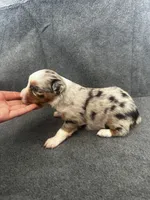 processed/329686cc-7eb4-409a-a47f-f371d3219133/listing/98efb5dc-7ada-4460-9c26-ee9c9a339356/462596ad-ca87-4916-99fa-e4c74eee4145