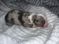 processed/329686cc-7eb4-409a-a47f-f371d3219133/listing/98efb5dc-7ada-4460-9c26-ee9c9a339356/6d05034f-f404-4824-97d7-85e4187f6198