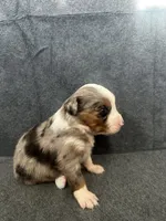 processed/329686cc-7eb4-409a-a47f-f371d3219133/listing/98efb5dc-7ada-4460-9c26-ee9c9a339356/90815113-0630-4111-978b-87eb500ecf17