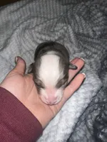 processed/329686cc-7eb4-409a-a47f-f371d3219133/listing/98efb5dc-7ada-4460-9c26-ee9c9a339356/e54c4d49-b6a4-4912-bf76-be5566b92c86