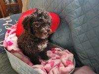 processed/329c8787-332f-43bb-bdee-3209f2a99645/listing/ac81568c-5a8a-417a-b4ec-cb593d586943/203268b6-05c1-4102-bde5-84b6b50ca4f5