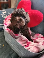 processed/329c8787-332f-43bb-bdee-3209f2a99645/listing/ac81568c-5a8a-417a-b4ec-cb593d586943/866f53fc-ee17-4bc4-b0fa-5b16335e4406