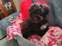 processed/329c8787-332f-43bb-bdee-3209f2a99645/listing/ac81568c-5a8a-417a-b4ec-cb593d586943/a28460c4-fa29-43af-928c-8796b073f78c