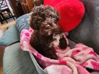 processed/329c8787-332f-43bb-bdee-3209f2a99645/listing/ac81568c-5a8a-417a-b4ec-cb593d586943/c2775335-8f78-448d-83c7-0a45516f8b5e