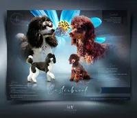 processed/329ecd14-1265-4e69-befb-501a72dae0a0/listing/12a71a72-301c-405a-b627-0776a710ef8d/cbf534f4-ce38-4191-b0b5-acffc3a1e529