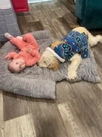 processed/32a9173f-bc9a-4910-9003-0883810953d7/facility/ed17752e-9705-466e-a15d-3d33919a0428