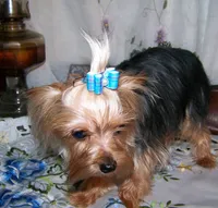 processed/32a9ff28-1177-40ee-9d3b-7998968a5834/listing/3fe14bc5-955f-4f5e-af6e-9c7b5eab03d8/5d5275b2-a2b0-49bb-9870-f5ed4a97af7b