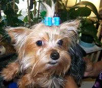 processed/32a9ff28-1177-40ee-9d3b-7998968a5834/listing/3fe14bc5-955f-4f5e-af6e-9c7b5eab03d8/6b8068bc-e69e-4879-bd54-79a4cc965a94