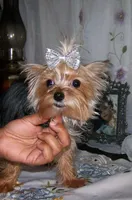 processed/32a9ff28-1177-40ee-9d3b-7998968a5834/listing/3fe14bc5-955f-4f5e-af6e-9c7b5eab03d8/f892d55f-2d23-42c3-a3aa-024f5919a16b