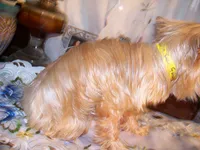 processed/32a9ff28-1177-40ee-9d3b-7998968a5834/listing/428ff075-3894-45ae-8dec-476498e1f6e1/4629af27-3d56-49c7-8225-2a883b5c5ffa