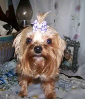 processed/32a9ff28-1177-40ee-9d3b-7998968a5834/listing/428ff075-3894-45ae-8dec-476498e1f6e1/589cfc64-27c8-404d-8679-cc23631f18ae