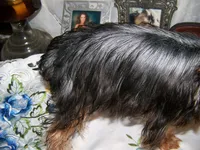 processed/32a9ff28-1177-40ee-9d3b-7998968a5834/listing/f6ff2d2e-b70d-4d2f-9145-0baef987252b/78e8bf3b-3499-4b07-8b63-c18efc24e60d