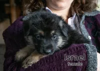 processed/32b3b5b1-edea-422e-915f-74655907c8e8/listing/ae1d7499-7e1f-4215-b6f2-0b99117c7e22/13e11ea4-a17a-4982-b7bf-f19dee1871c6