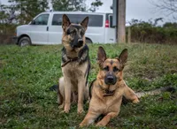 processed/32b3b5b1-edea-422e-915f-74655907c8e8/listing/ae1d7499-7e1f-4215-b6f2-0b99117c7e22/41e22e24-744f-4732-86d2-9398fb285a9f