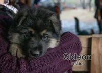 processed/32b3b5b1-edea-422e-915f-74655907c8e8/listing/fb723351-3a4a-411c-9610-a443af4ed5d2/7deff9a9-7a4f-4fd3-a8d8-17ca0420b9d4