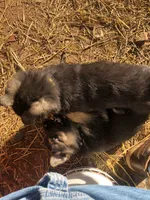 processed/32b3b5b1-edea-422e-915f-74655907c8e8/listing/fb723351-3a4a-411c-9610-a443af4ed5d2/cb03f155-df35-48ac-98b4-2fedbe976357