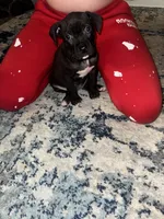 processed/32b4ef15-2c47-4b25-a799-04c1302c8e34/listing/1d4c2f6a-fa45-40e7-8c24-3d7e99393cf7/0cbbc1a1-a06f-4add-9983-eef299eb13fd