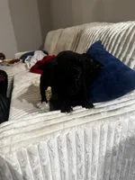 processed/32b4ef15-2c47-4b25-a799-04c1302c8e34/listing/1d4c2f6a-fa45-40e7-8c24-3d7e99393cf7/7184209d-2cd4-4b2e-97c3-ec5de82e1447